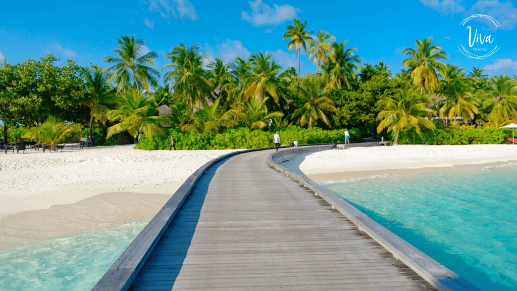 10 Essential Things to Know Before Travelling to Fiji