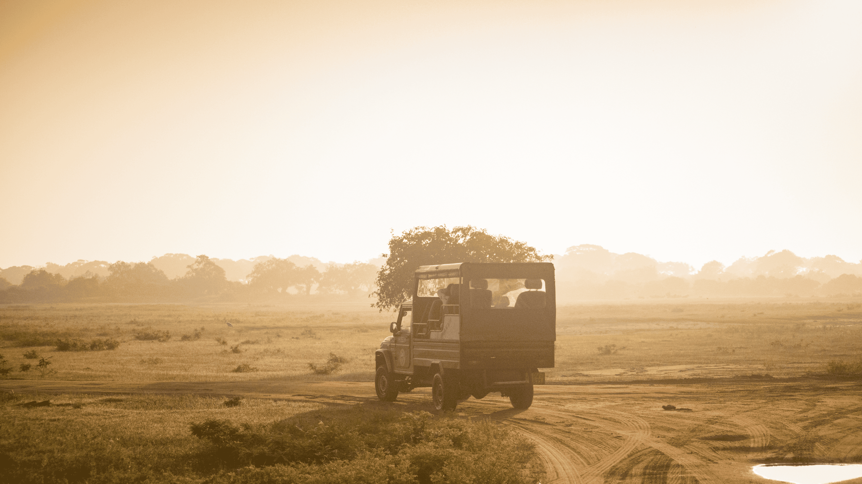 Yala National Park, Sri Lanka