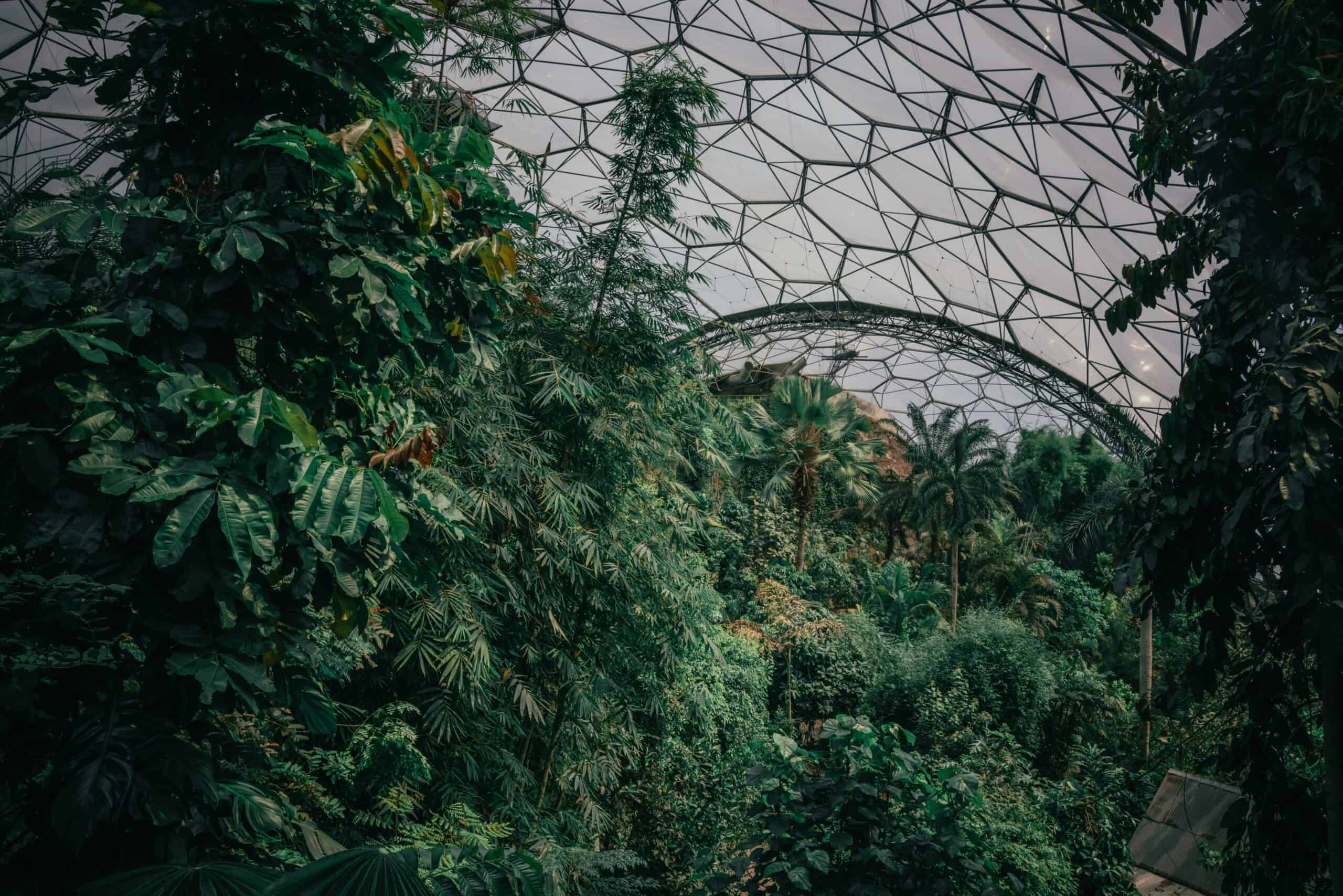 Eden Project